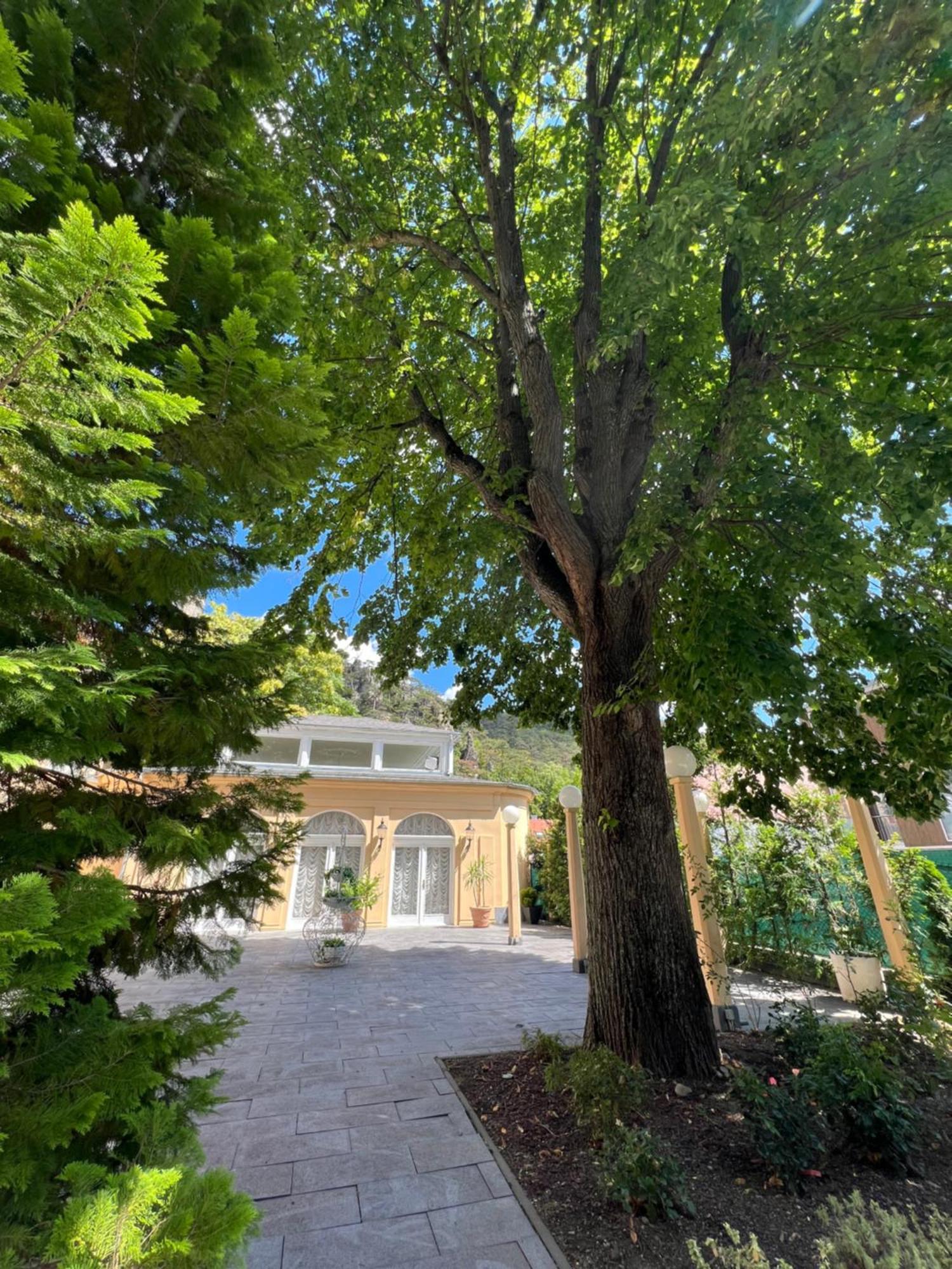 Wienerwald Residenz Baden Extérieur photo